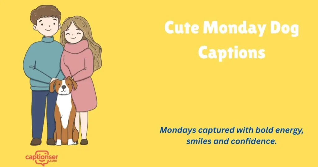 Cute Monday Dog Captions