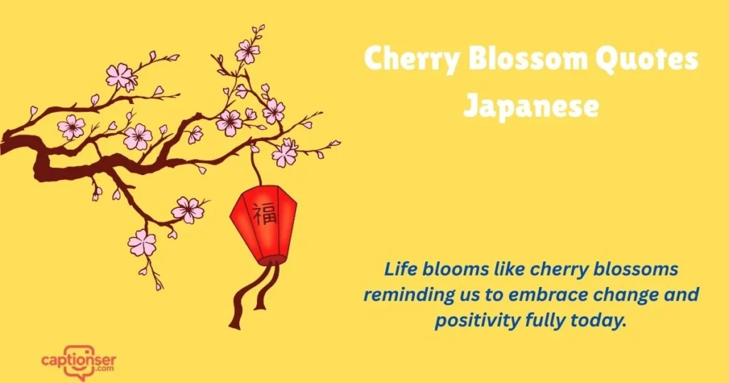 Cherry Blossom Quotes Japanese