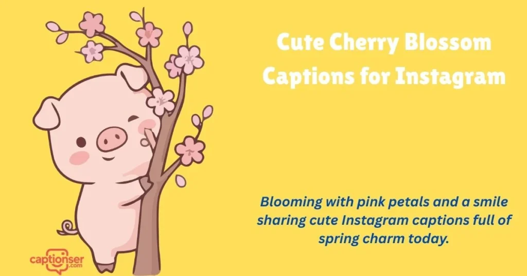 Cute Cherry Blossom Captions For Instagram