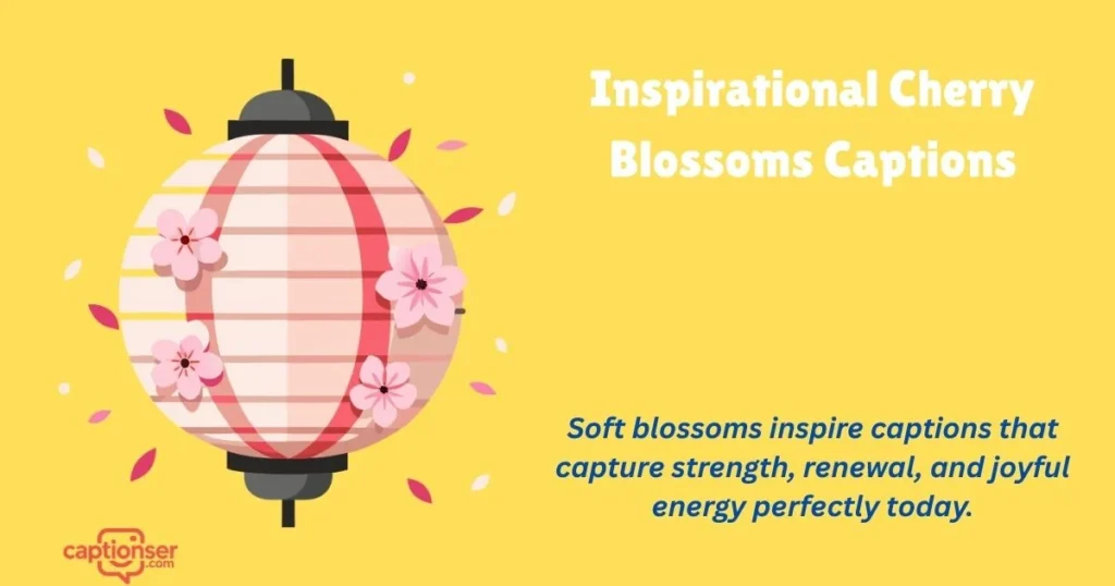 Inspirational Cherry Blossoms Captions