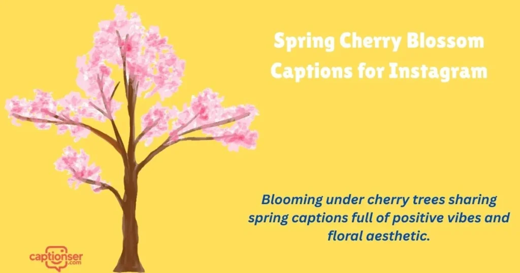 Spring Cherry Blossom Captions For Instagram