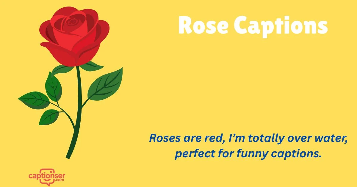 249 + Best Rose Captions for Instagram That Go Viral Fast (2026)