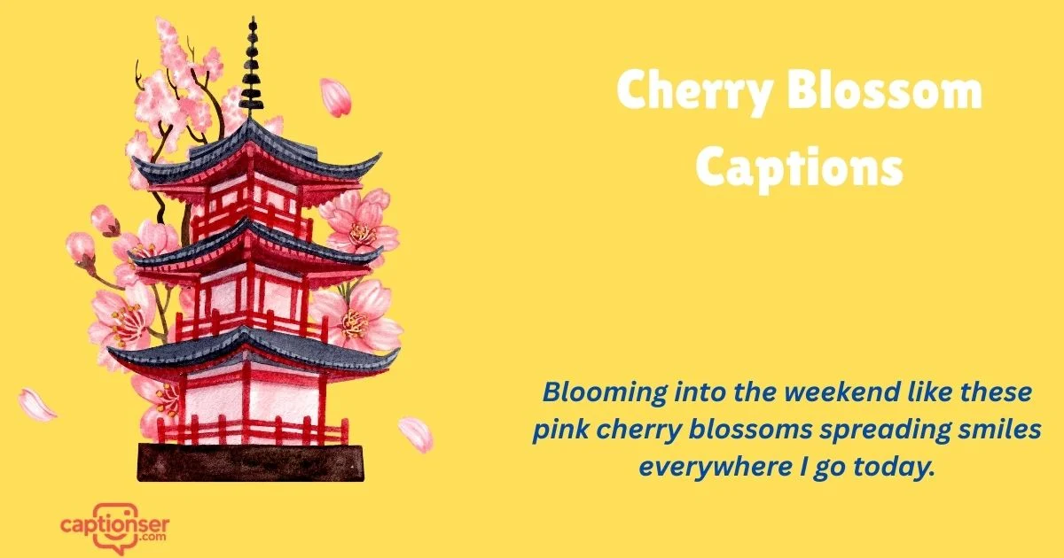 285+ Best Cherry Blossom Captions for Instagram Feed 2026