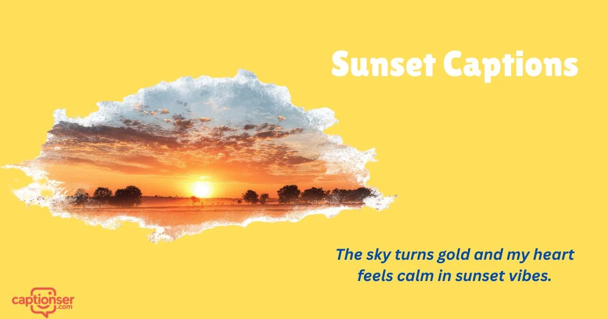 255+ Best Sunset Captions for Instagram That Go Viral Fast